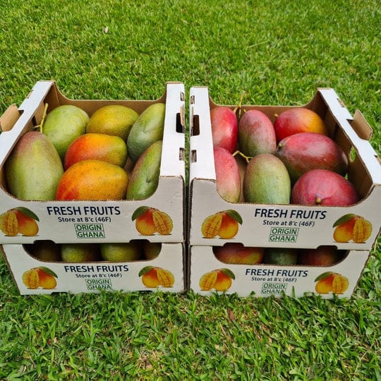 Fresh Mangoes - Carton